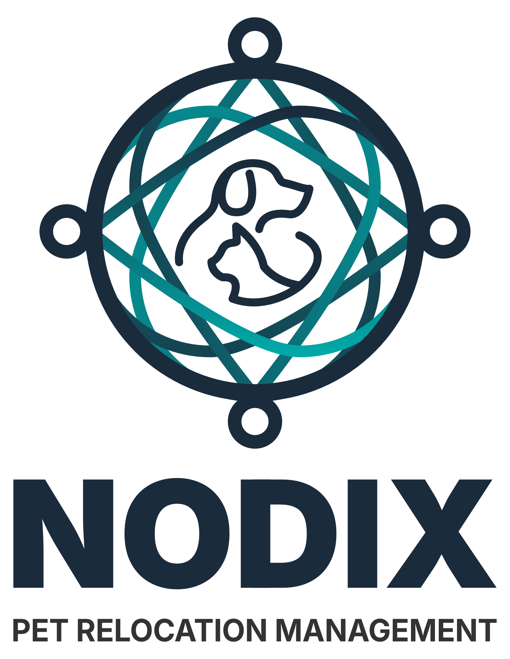 Nodix Logo